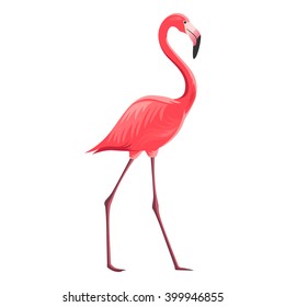 Vector Illustration of a Flamingo