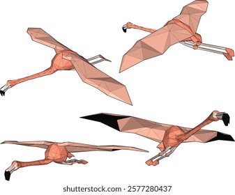 vector illustration of flamingo bird animal design with long legs and beak