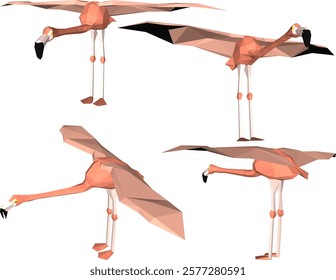 vector illustration of flamingo bird animal design with long legs and beak 