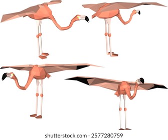 vector illustration of flamingo bird animal design with long legs and beak 