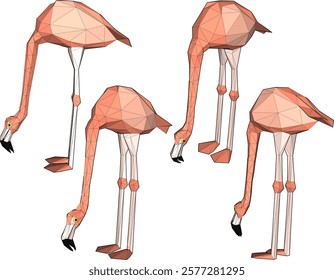 vector illustration of flamingo bird animal design with long legs and beak