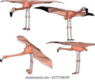 vector illustration of flamingo bird animal design with long legs and beak