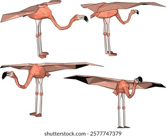 vector illustration of flamingo bird animal design with long legs and beak