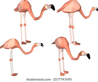 vector illustration of flamingo bird animal design with long legs and beak