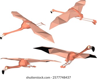 vector illustration of flamingo bird animal design with long legs and beak