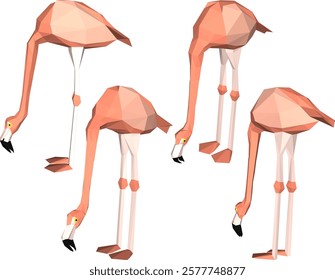 vector illustration of flamingo bird animal design with long legs and beak