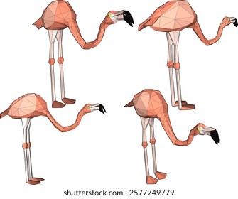 vector illustration of flamingo bird animal design with long legs and beak