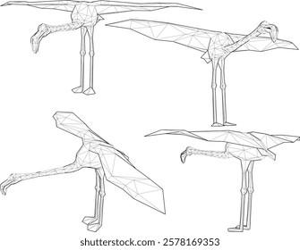 vector illustration of flamingo bird animal design with long legs and beak