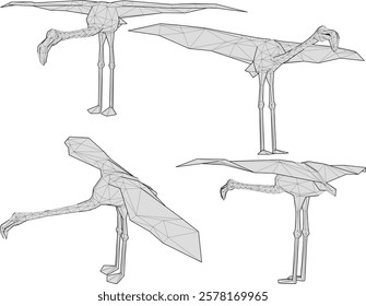 vector illustration of flamingo bird animal design with long legs and beak