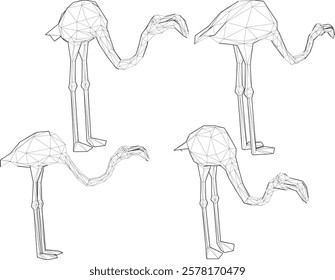 vector illustration of flamingo bird animal design with long legs and beak 