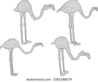 vector illustration of flamingo bird animal design with long legs and beak