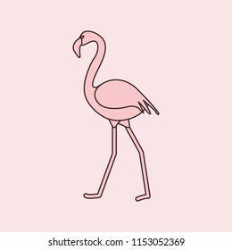 Vector illustration with Flamingo bird. Design for poster or print.