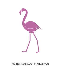 Vector illustration with Flamingo bird. Design for poster or print.