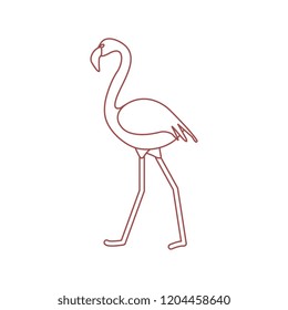 Vector illustration with Flamingo bird. Design for poster or print.
