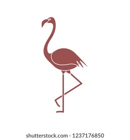 Vector illustration with Flamingo bird. Design for poster or print.