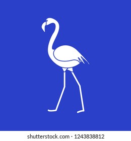 Vector illustration with Flamingo bird. Design for poster or print.