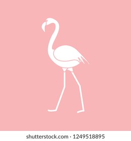 Vector illustration with Flamingo bird. Design for poster or print.