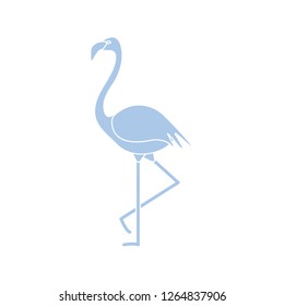 Vector illustration with Flamingo bird. Design for poster or print.