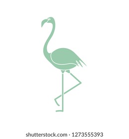 Vector illustration with Flamingo bird. Design for poster or print.