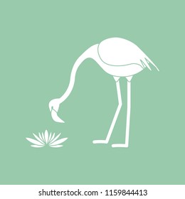 Vector illustration with flamingo bird and water lilies flowers. Design for poster or print.