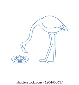 Vector illustration with flamingo bird and water lilies flowers. Design for poster or print.