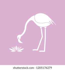 Vector illustration with flamingo bird and water lilies flowers. Design for poster or print.