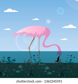 Vector illustration with flamingo birds on a lake,surrounded by fish