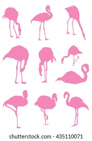 vector illustration of flamingo birds silhouettes