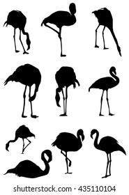 Vector Seamless Pattern Flamingo Bird Can Stock Vector (Royalty Free ...