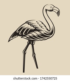 Vector illustration of a flamingo. Element for design