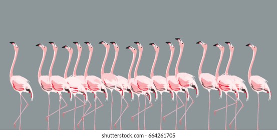 Vector Illustration With Flamingo Flock On Grey Background.