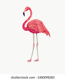 Vector illustration of flamingo. Isolated on white.