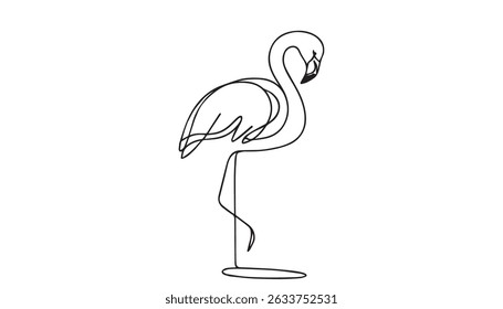 Vector illustration of flamingo isolated on white background. For kids coloring book.
