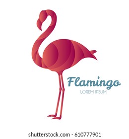 Vector illustration of flamingo logo design template made with golden ratio principles