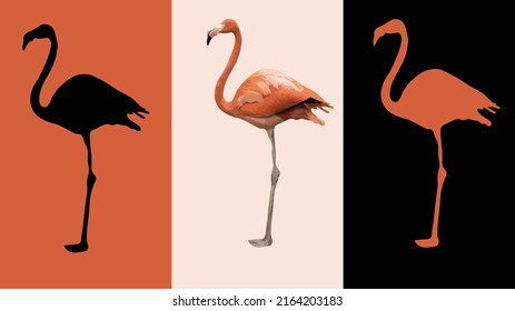 Vector illustration of a flamingo in a low range of color tones. Illustration divided into three parts. Silhouettes on the sides of the silhouette and in the middle.