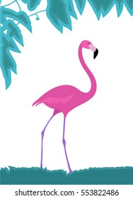 a vector illustration of a flamingo; perfect for cards and posters