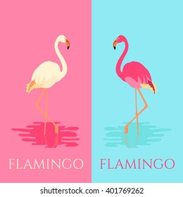 Vector illustration of a flamingo standing in water on one leg in two colors. Exotic bird made in flat style. Wildlife concept.