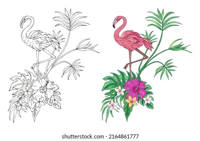 Vector Illustration of flamingo and tropical plants. Black and white vector illustration for coloring book. Beautiful drawings with patterns and small details. 