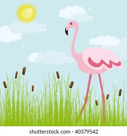 Vector illustration of flamingo in wild nature