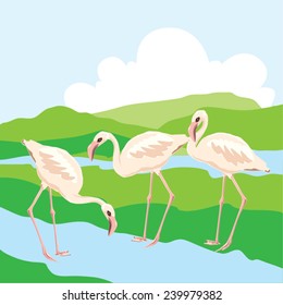 Vector illustration of flamingos with background