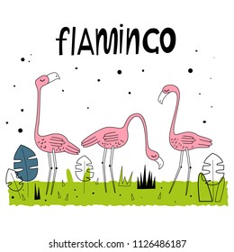Vector illustration of Flamingos. Nice background. Hand drawn letters style. Cartoon-style. Scandinavian motives
