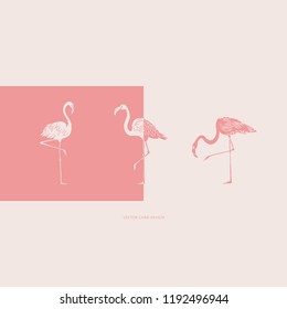 Vector illustration. Flamingos silhouettes. Vector card. Cover design.