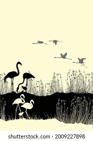 Vector illustration of flamingos with their cubs on the shore of the lake