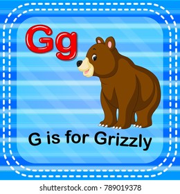 vector illustration of Flashcard letter G is for grizzly
