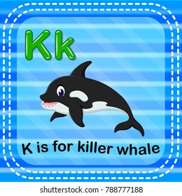 vector illustration of Flashcard letter K is for killerwhale