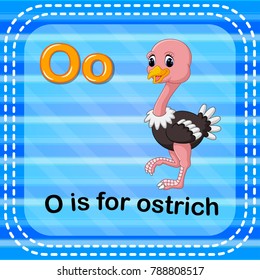 vector illustration of Flashcard letter O is for ostrich
