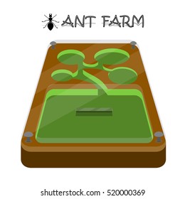 Vector Illustration Of Flat Ant Farm. Empty.