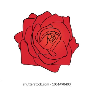 Vector illustration, flat bright red rose flower isolated on white background