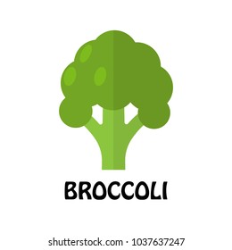 Vector Illustration Flat Broccoli isolated on white background , Raw materials fresh vegetable