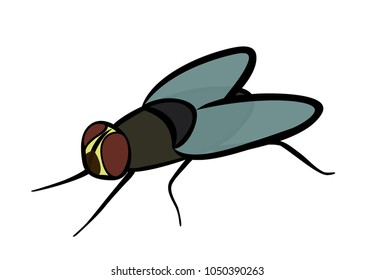 Vector illustration, flat cartoon gray ordinary fly isolated on white background